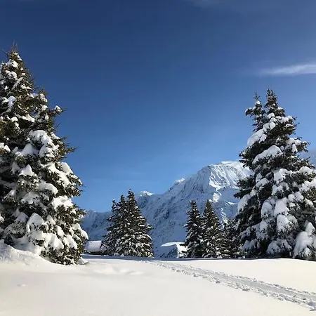 Mountain - Vue Montagne - 4 Personnes Chalet *