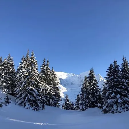 Mountain - Vue Montagne - 4 Personnes Les Houches